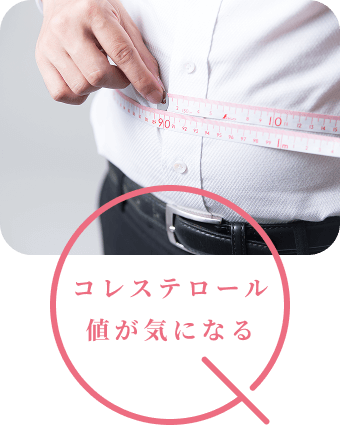 コレステロール値が気になる