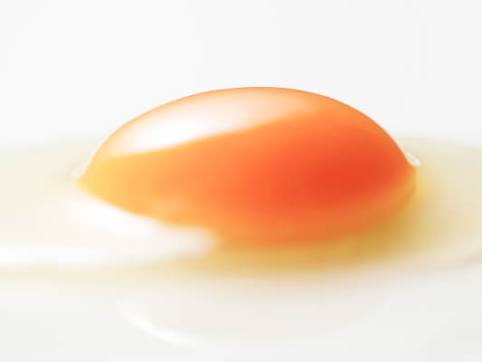 卵黄油のパワー